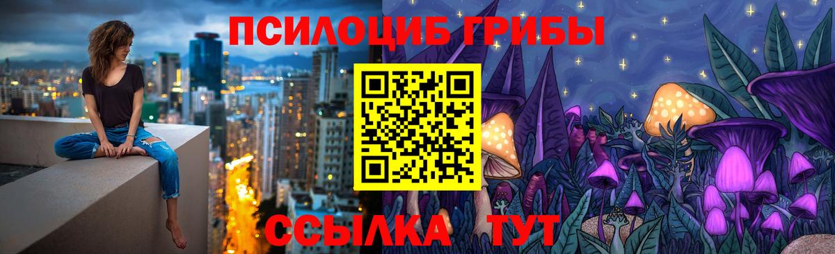 Псилоцибиновые грибы MAGIC MUSHROOMS Богданович